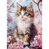 CEOVR Diamond Painting Kit Completo Gatto 5D Diamond Painting,Diamond Painting Adulto Animale,30x40 cm Pittura Diamante,Gatto a Pelo Lungo Diamanti Painting,Painting Diamond 5D
