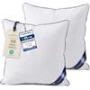 Utopia Bedding Cuscini, Imbottitura per Letto e Come Cuscino decorativi, cuscino per divano, cuscini decorativi (2, Bianco, 65x65 cm)