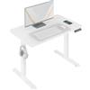 WOLTU Scrivania Regolabile in Altezza 100x60 cm, Tavolo da Gioco con Sollevamento Elettrico, 72 a 120 cm, con Ricarica USB, 4 Altezze Di Memoria e Protezione Anticollisione, Bianco, TS194ws01