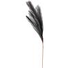 Inge's Christmas Erba Della Pampas Nero 80 cm Artificiale