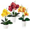 PASCH® Fiori artificiali in vaso (35 cm) - Set di 3 orchidee artificiali in composizione coordinata in vasi di ceramica lucidi, fiori artificiali decorativi, orchidee artificiali (Rosso Arancione