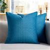 Cheekywares Copricuscini 50 x 50 cm Blu Federe Cuscino Divano in Velluto Primavera Estate Moderno Lussuoso per Divano Camera da Letto Soggiorno Balcone Sedia con La Cerniera Invisibile Set di 2