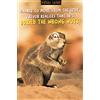 Virtual Safari Nuts, biglietto di auguri di compleanno, 159x235 mm