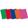 Enri Quaderni Folio (A4), copertina rigida, 80 fogli a griglia 4x4, assortimento casuale, 1 unità