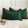 Mandioo 2 Pezzi Copricuscini Colore d'accento Minimalista decorativi Tessitura Fodere per Cuscino Moderne per Casa Soggiorno Camera da Letto per Divano 30 x 50 Verde