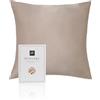 RUIPTSKE Federa per cuscino al 100% in seta da 22 momme, certificata Oeko-TEX®, benefica per i capelli e per la pelle, anti età e antiacaro, 40 x 40 cm (champagne chiaro)