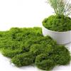Lxoraziy 150g Muschio Finto per Decorazioni, Muschio Stabilizzato, Muschio Vegetale Finto in Nylon, per Composizioni Floreali, Bricolage, Verde Scuro