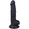 Projekt Sexmuseum Doktor Dildo - Dildo flessibile con testicoli e ventosa in TPE igienico con diametro di 3,8 cm, lunghezza di 15 / 20 cm, Modello 02 Il sottile