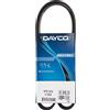 DAYCO 6PK1050 CINGHIA POLY V COM.ALT.BRAVA/O 14 18