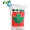 Manitoba Canarini miscuglio T3 kg 20