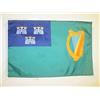 AZ FLAG Bandiera Dublino 45x30 cm - Bandierina Dublino In Irlanda 30x45 cm Cordicelle