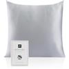 RUIPTSKE Federa per cuscino al 100% in seta da 22 momme, certificata Oeko-TEX®, benefica per i capelli e per la pelle, anti età e antiacaro, 40 x 40 cm (grigio)