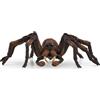 SCHLEICH 13987 - Schleich-S - Harry Potter - Aragog