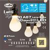 LOTTI Catena Luci Party 10 Lampade A67 SMD Milky - 4+5,5 m