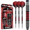 WINMAU Joe Cullen 23 Grammo Freccette in tungsteno con Prism Voli e Freccette Aste