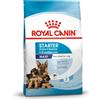 Royal Canin Starter Mother & Babydog Maxi 15KG