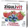 FALQUI PRODOTTI FARMAC. Srl Ziguli Vit Frutti Bosco Vitamine E Minerali 40 Palline