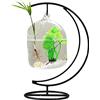 Flueyer Acquario sospeso, piccolo acquario in vetro da tavolo, mini acquario con supporto, terrario trasparente per piante per pesci Betta decorazione per la casa