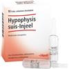 GUNA SpA HEEL HYPOPHYSIS SUIS INJEEL 10 FIALE