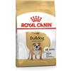 Royal Canin Bulldog Inglese Adult - Royal Canin - Bulldog Inglese Adult - 12KG