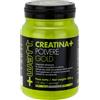 +WATT CREATINA+ GOLD 350 GRAMMI