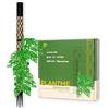 PlantMe Set per piante rampicanti, edera, asta muschiata, supporto per piante rampicanti, supporto per piante rampicanti, filodendro (nero, 70 cm)