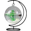 Flueyer Acquario sospeso, piccolo acquario in vetro da tavolo, mini acquario con supporto, terrario trasparente per piante per pesci Betta decorazione per la casa