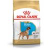 Royal Canin Puppy Boxer Alimento Completo per Cuccioli fino a 15 Mesi di Età 12KG