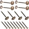 INCREWAY Viti a specchio, 8 viti decorative in ottone per specchio, chiodi a specchio, coperture con cupola e rondelle (15 mm)