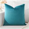 Artscope Federe Cuscini in Velluto Minimalista Copricuscino Colorato per la Decorazione Domestica Soggiorno Camera da Letto Divano 45x45cm, Verde Blu