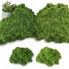 CIYIN 200g Muschio Artificiale per la Decorazione, Finto per Presepe, Decorazioni Floreali, Fai da Te (Verde Chiaro + Verde Scuro)