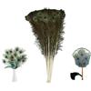 SMTCM 5 piume di pavone naturali, lunghezza 80-90 cm, vere piume di coda di pavone, piume di pavone, per creare bellissimi occhi, piume, decorazioni per vasi, oggetti di scena fai da te, matrimoni, feste