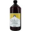 DAVINES by Davines: NATURAL TECH PURIFYING SHAMPOO FOR SCALP WITH OILY FOR DRY DANDRUFF 1000ml