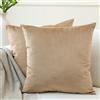 Encasa XO Encasa Homes Set 2 pezzi di coperture ammortizzanti in VELLUTO (45 x 45 cm), Beige- semplici, resistenti, morbide e liscie, lavabili, a grandi quadrati decorativi, cuscino federa per divano, sofa