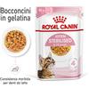 Royal Canin FHN Kitten Sterilised umido in Gelatina per gatti - 12 x 85 g