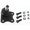 MAPCO 59810 Testina braccio oscillante Assale anteriore Sx inferiore Compatibilità con VW POLO 9N Fox Hatchback 5Z1, 5Z3, 5Z4, SEAT Ibiza III Hatchback 6L, SKODA Fabia II Hatchback 542 FABIA 6Y2