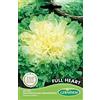 Germisem Full Heart Semi di Cicoria 4 g