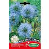 Germisem Miss Jekyll Blue Semi 2 g