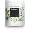 natural elements Collagene in polvere 500 g - peptidi di collagene idrolizzato - collagene di tipo 1 e 3 - gusto neutro, perfetta solubilità, naturale, testato in laboratorio e prodotto in Germania