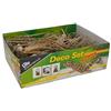 Lucky Reptile Set Decorativo Nano terrario in Stile Deserto con Materiali Naturali