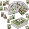 Bioviva Gioco Di Carte Défis Nature Dinosauri 1 – Versione Francese, 37 Carte Educative Per Bambini Da 7 Anni