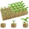 DELAIHUIL 50 Pezzi Cubi di Lana di Roccia, 2,5x2,5x2,5cm cubetti di Lana di Roccia per piantine, cubi Rockwool per la Crescita, cubi di Lana di Roccia per la radicazione per talee pianta propagazione