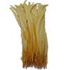 Sowder - Confezione da 50 piume di coda di gallo, lunghezza 28-35,6 cm, colore: giallo dorato