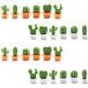 aupawdy 24Pcs Calamite da frigorifero,Cactus Fridge Magnets,Cactus Pianta grassa Magnet perfette per casa, ufficio, uso personale