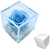 Premium-rose.com Cubo Rosa Stabilizzata Profumata Azzurra da 5 cm con Rosa azzurra e base marmo di Carrrara | Idea Regalo Bomboniere comunione, cresima, Battesimo, Fatto in Italia (Celeste 1054)