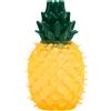 AqpetFriends Giochi Per Cani Cool It Refrigerante Ananas