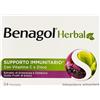RECKITT BENCKISER H.(IT.) SpA BENAGOL Herbal 24 Pastiglie Frutti di Bosco
