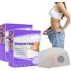 Utapossin Patch Dimagranti, 60 Pezzi Slimming Patch per Perdita di Peso, Slimming Patch Anticellulite, Cerotti Dimagranti Efficaci, Fat Burning Patch Dimagrire Velocemente Pancia e Fianchi