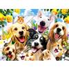 Pracht Creatives Hobby Set per dipingere con diamanti, quadro con motivo Animal Selfie e accessori, dimensioni circa 35 x 25 cm, set per dipingere con pietre glitterate per bambini a partire dai 5 anni di età