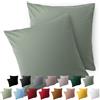 Blumtal Federe Cuscini Divano 50x50 cm - Set di Copricuscini per Divani in Microfibra a 2 Pezzi con Chiusura a Zip, certificati Oeko-Tex, extra morbidi e lavabili - Verde